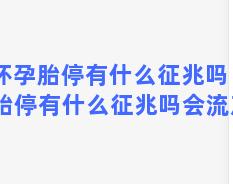 怀孕胎停有什么征兆吗 怀孕胎停有什么征兆吗会流产吗